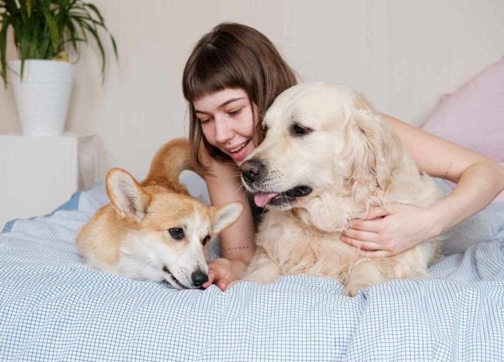 Seasonal Pet Care Tips for Virginia Dogs and Cats 2 pet care