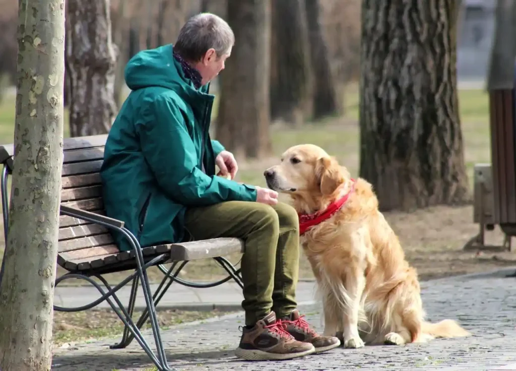 The Best Dog-Friendly Hiking Trails Near Warrenton and Bealeton 2 Dog-Friendly Hiking Trails Near Warrenton and Bealeton